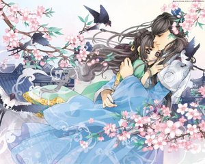 女性全身精油spa视频